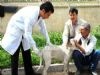 Kedi ve Köpekler Ücretsiz Aşılanacak