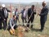 MHL'den Şardağına 100 Çam Fidanı
