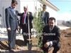 Parayı Verdi Fidanı Dikti